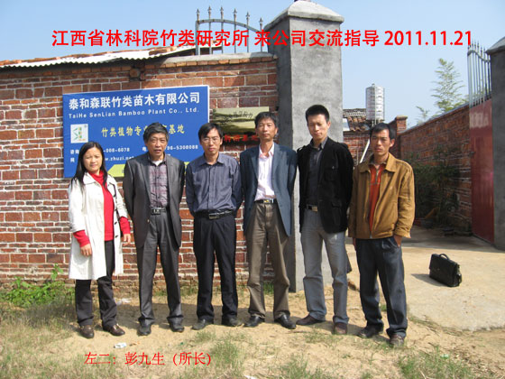 江西省林科院竹類研究所來(lái)公司交流指導(dǎo)