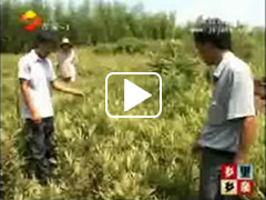 吉安電視臺(tái)對公司基地進(jìn)行報(bào)道
